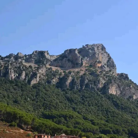 Sa Domu 'eccia